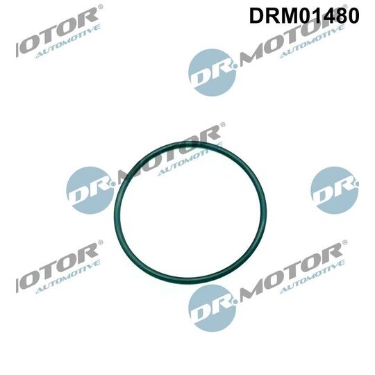 DRM01480 - Seal, injection pump 