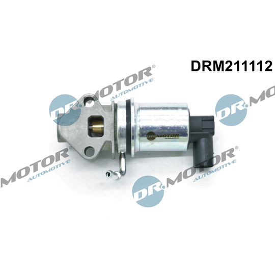 DRM211112 - EGR-klapp 