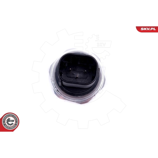 17SKV783 - Sensor, exhaust pressure 