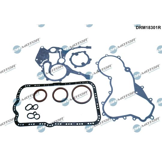 DRM18301R - Gasket Set, crank case 