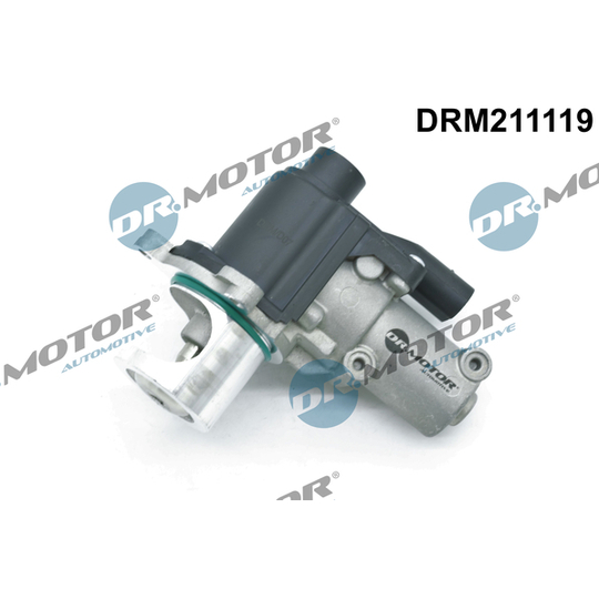 DRM211119 - EGR Valve 