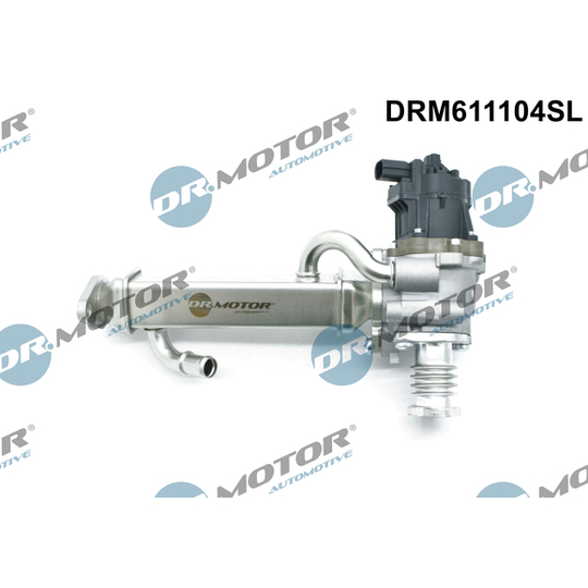 DRM611104SL - EGR Valve 