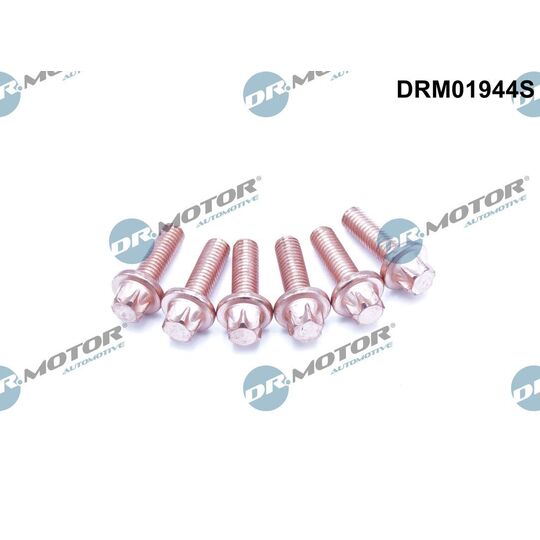 DRM01944S - Bolt, exhaust system 