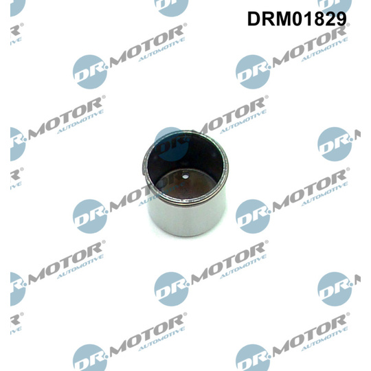 DRM01829 - Plunger, high pressure pump 