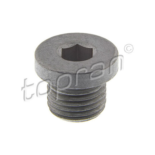 120 142 - Screw Plug 