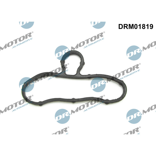 DRM01819 - Gasket, timing case cover 