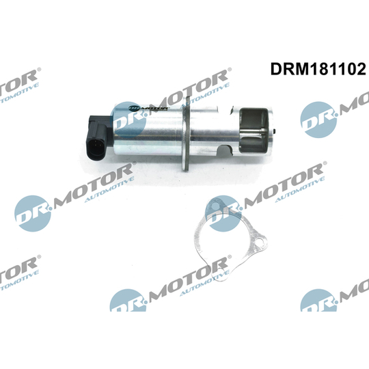 DRM181102 - EGR Valve 