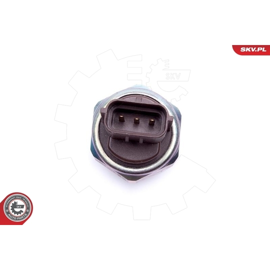 17SKV738 - Sensor, fuel pressure 