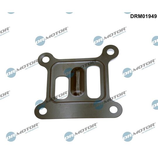 DRM01949 - Gasket, water pump 