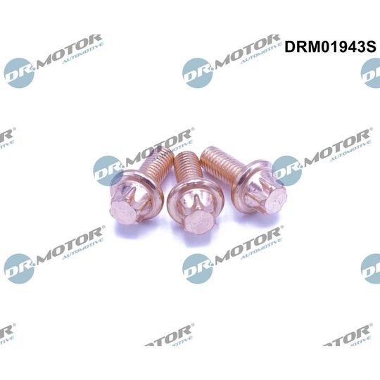 DRM01943S - Bolt, exhaust system 