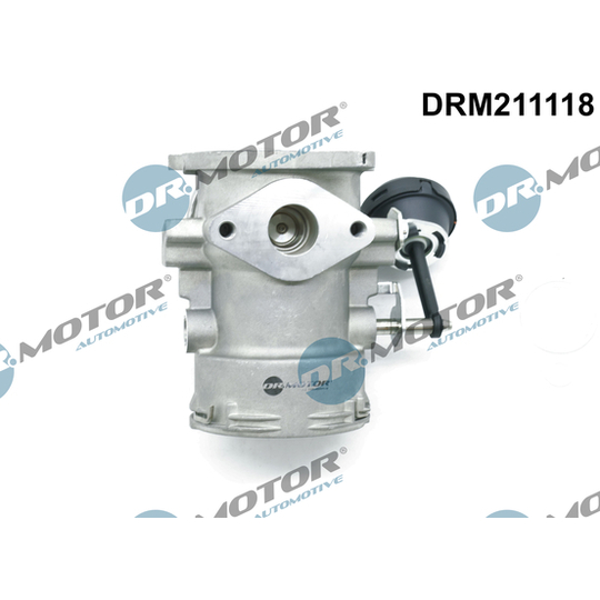 DRM211118 - EGR Valve 