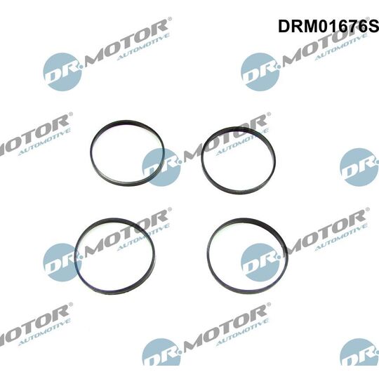 DRM01676S - Gasket Set, intake manifold 