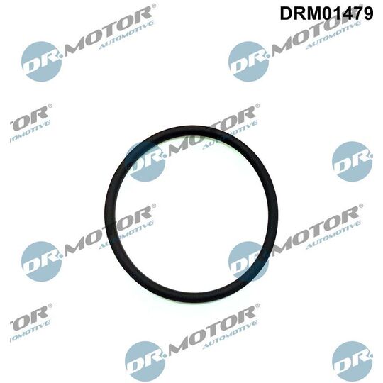 DRM01479 - Seal, injection pump 