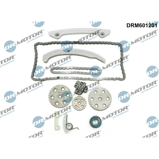 DRM601201 - Timing Chain Kit 