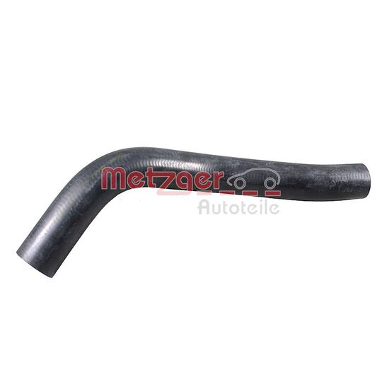 2421689 - Radiator Hose 