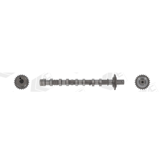 CAM1041 - Camshaft 