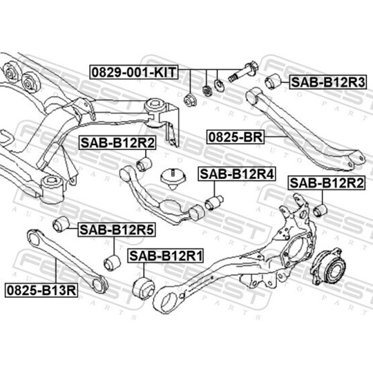 0829-001-KIT - Camber Correction Screw 