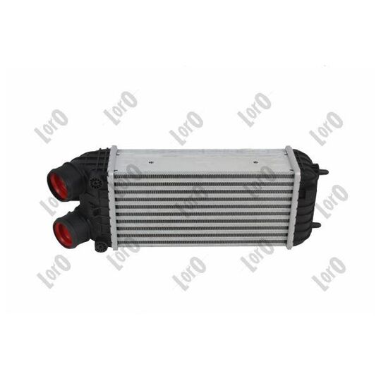 009-018-0022 - Intercooler, charger 