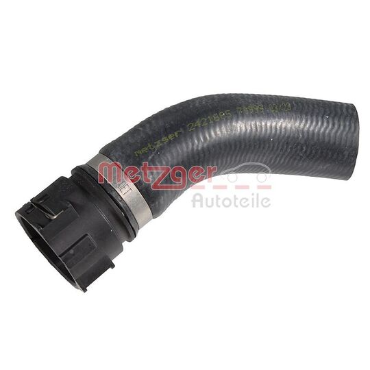 2421669 - Radiator Hose 