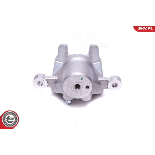 56SKV253 - Brake Caliper 