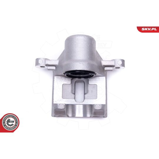 56SKV253 - Brake Caliper 