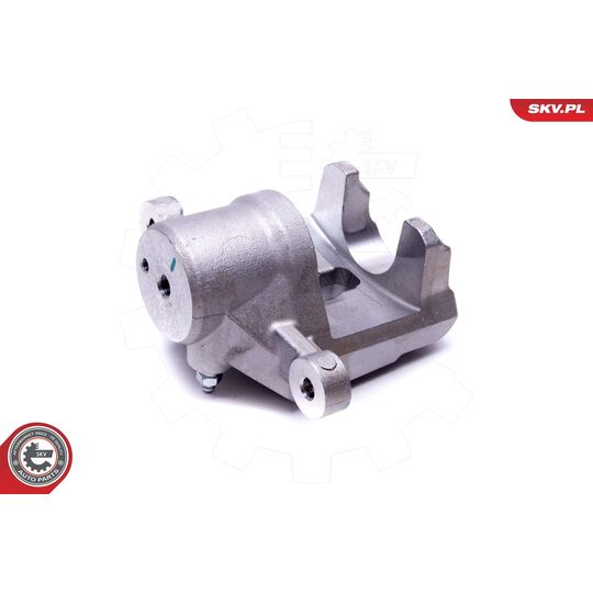 56SKV254 - Brake Caliper 