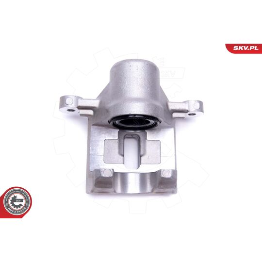 56SKV254 - Brake Caliper 