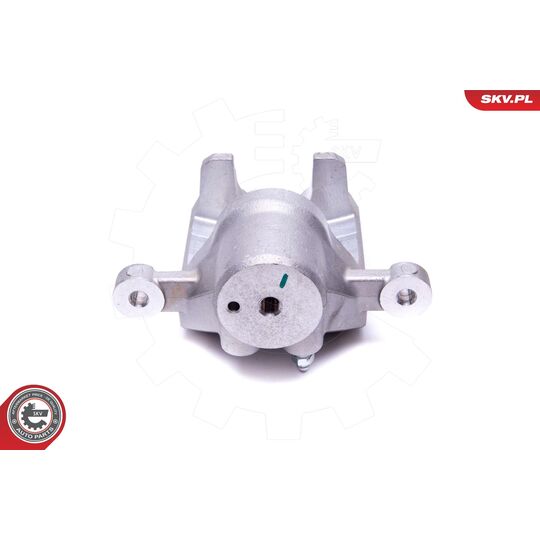 56SKV254 - Brake Caliper 