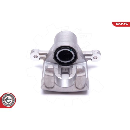 56SKV254 - Brake Caliper 