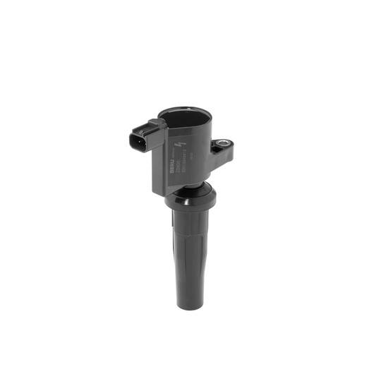 ZS600 - Ignition Coil 