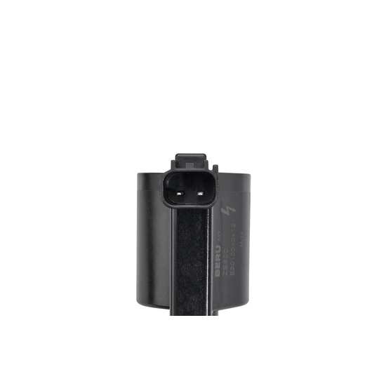 ZS600 - Ignition Coil 