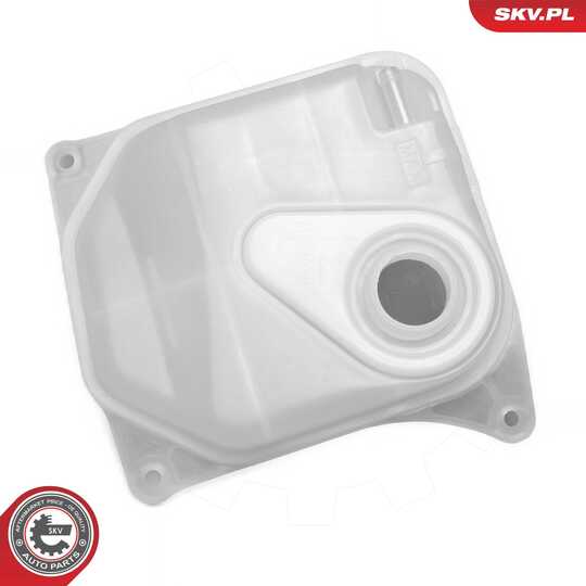 61SKV317 - Expansion Tank, coolant 