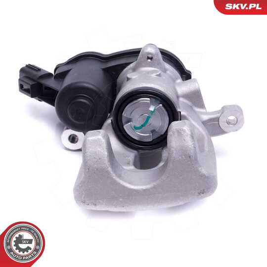 56SKV173 - Brake Caliper 