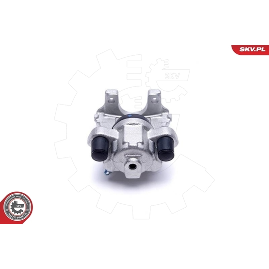 44SKV454 - Brake Caliper 