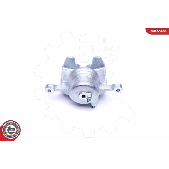 46SKV221 - Brake Caliper 