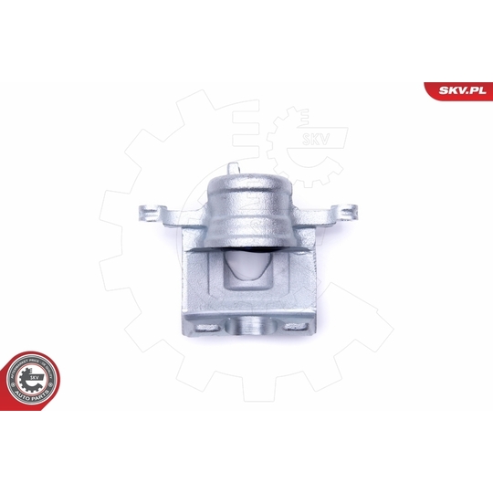 46SKV221 - Brake Caliper 