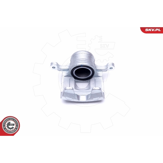 46SKV221 - Brake Caliper 