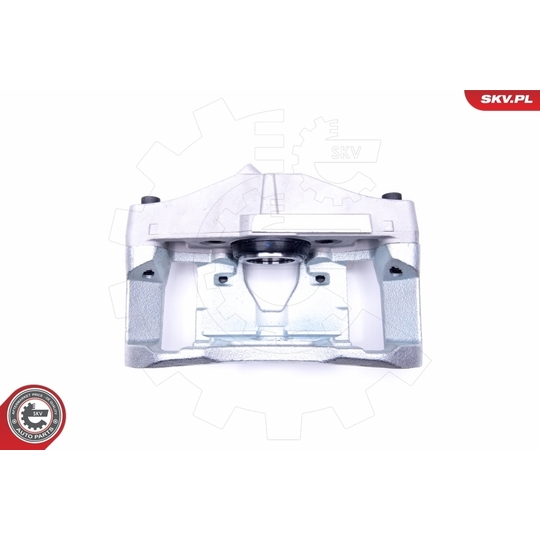 46SKV161 - Brake Caliper 