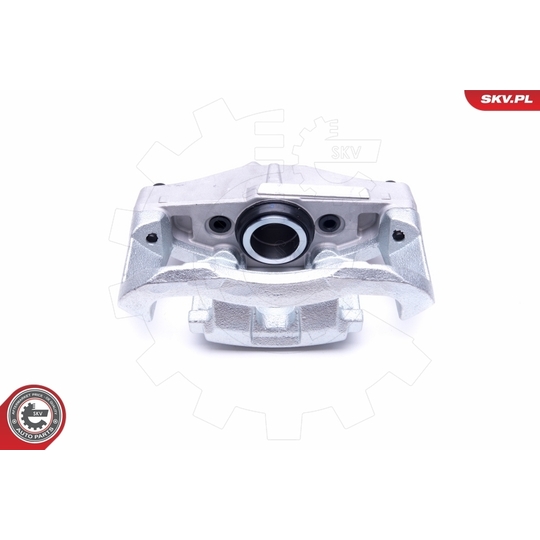 46SKV161 - Brake Caliper 