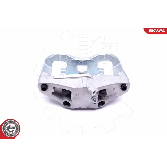 46SKV161 - Brake Caliper 