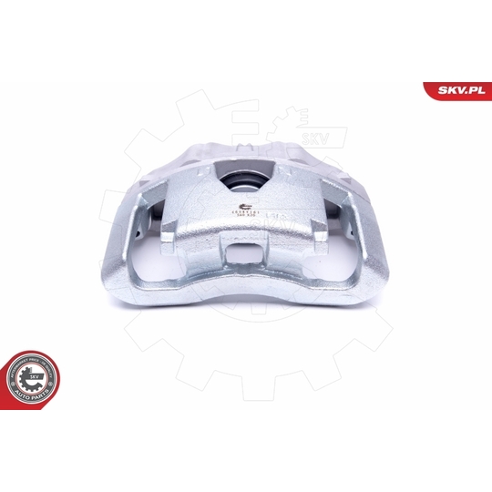 46SKV161 - Brake Caliper 