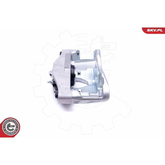 46SKV161 - Brake Caliper 