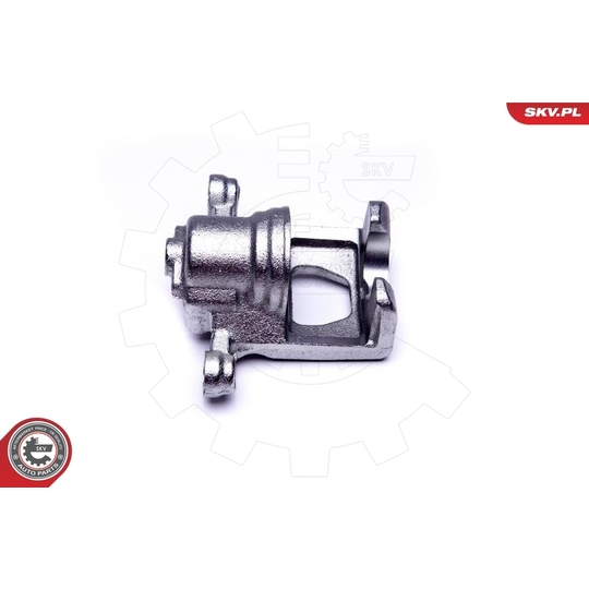 46SKV193 - Brake Caliper 