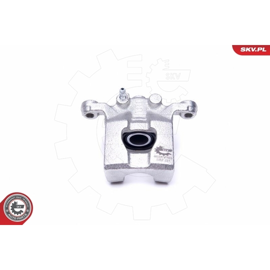 46SKV193 - Brake Caliper 