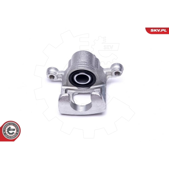 46SKV193 - Brake Caliper 