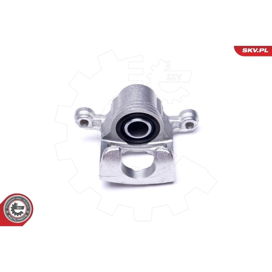 46SKV194 - Brake Caliper 