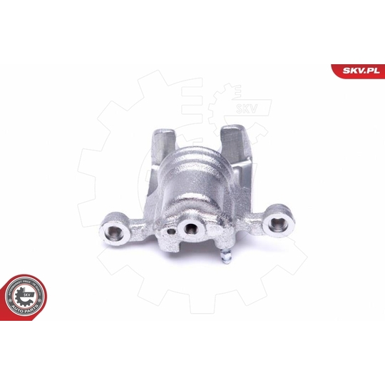 46SKV194 - Brake Caliper 