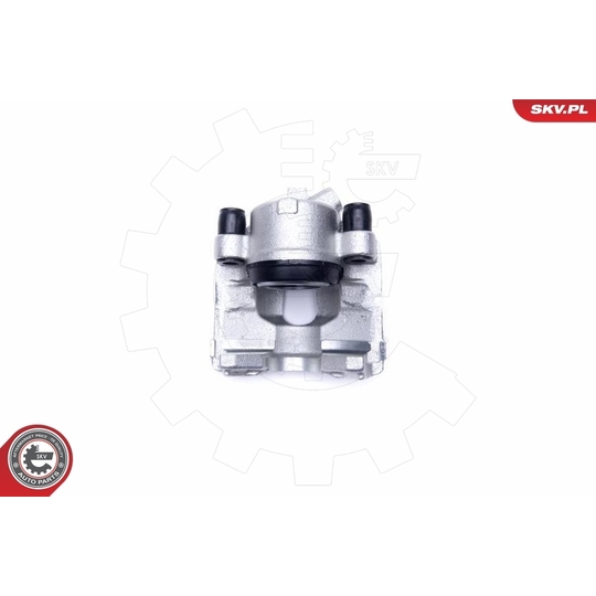 46SKV872 - Brake Caliper 