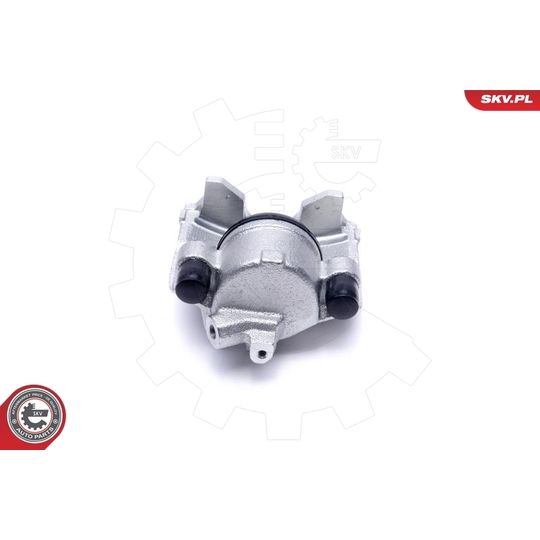 46SKV872 - Brake Caliper 