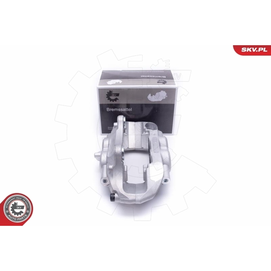 55SKV901 - Brake Caliper 